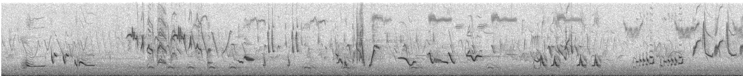 Brown Thrasher - ML639972365