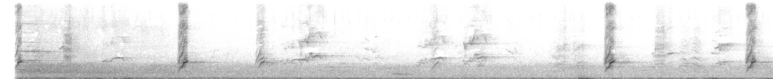 Méliphage à oreillons bleus (groupe cyanotis) - ML639973457