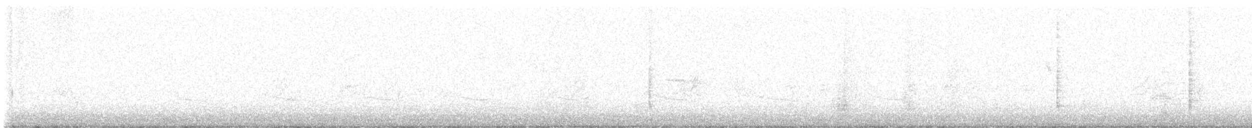 new world oriole sp. - ML639973842