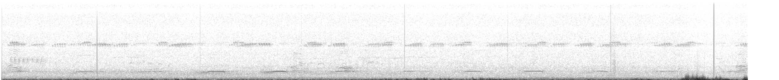 Channel-billed Cuckoo - ML639977848