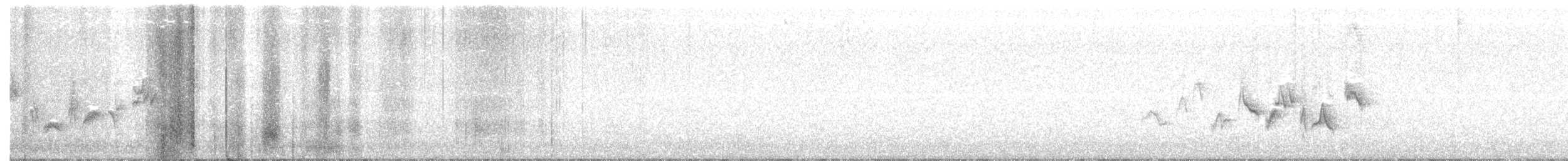 Western Warbling Vireo - ML63997941