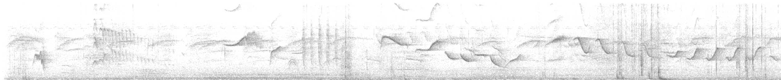 oiseau sp. - ML639979606