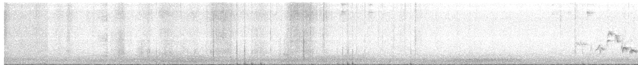 Western Warbling Vireo - ML63997991