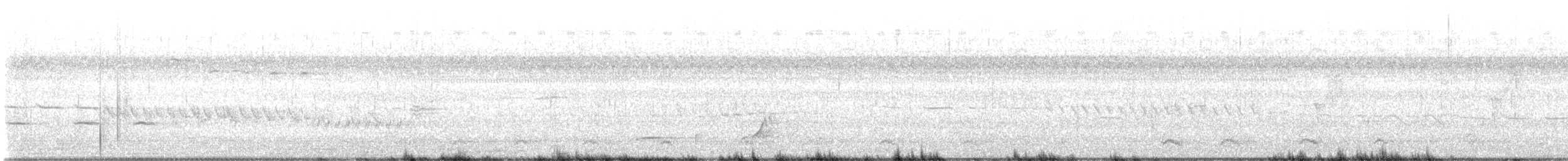 Northern Bobwhite - ML639984837