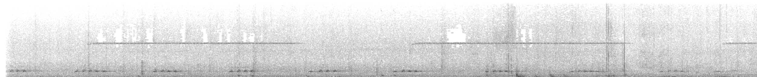 White-breasted Waterhen - ML639985324