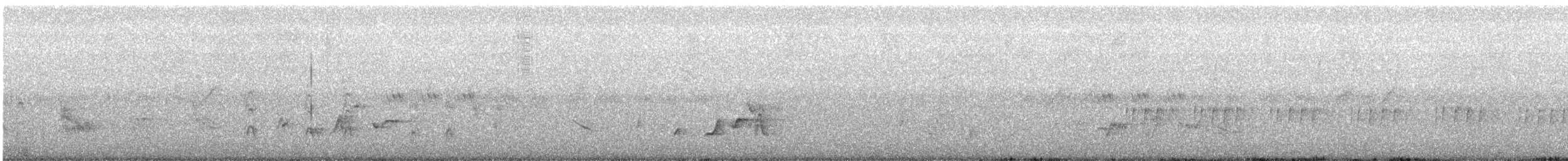 Oriental Pied-Hornbill - ML639985897