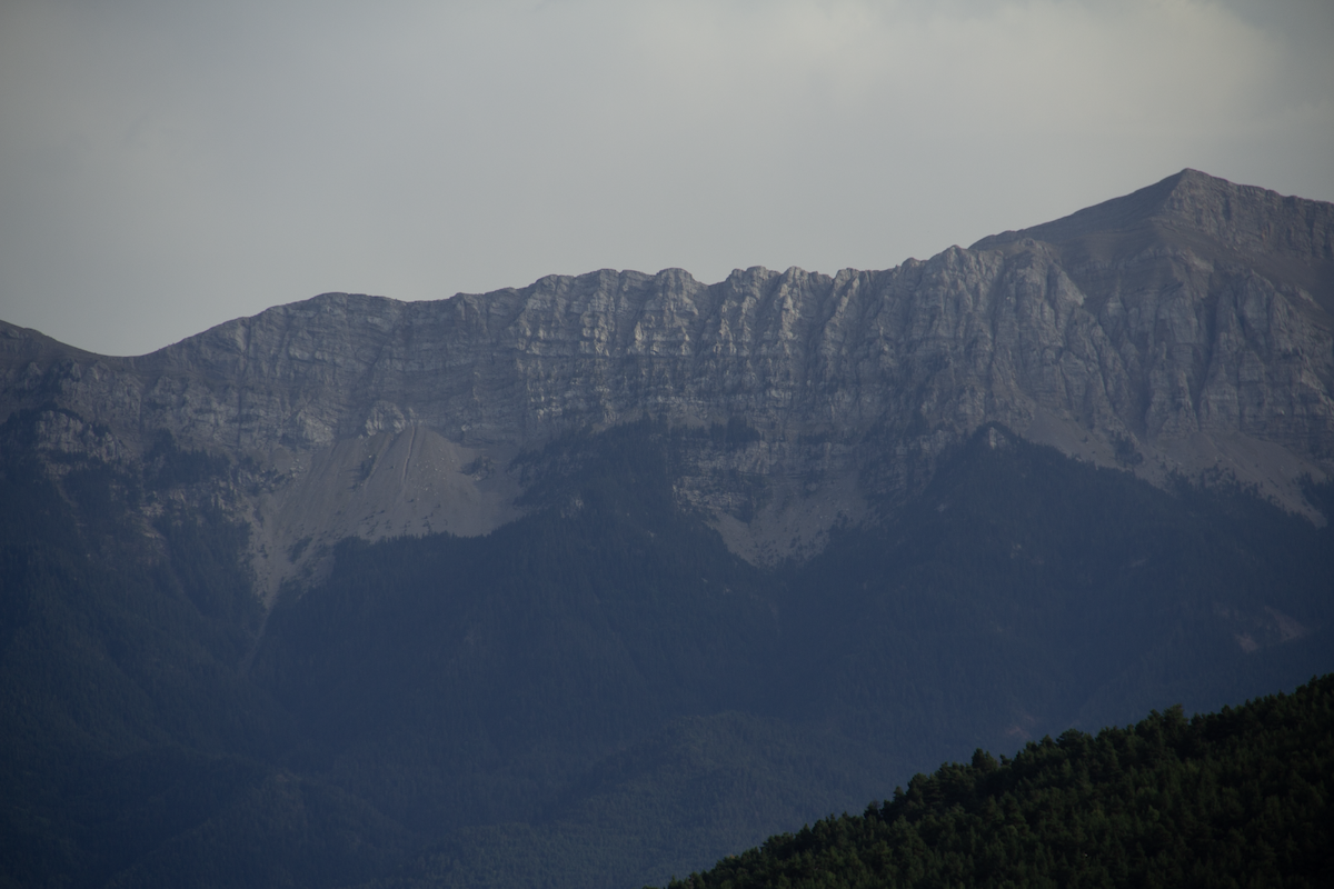 null - ML639986777