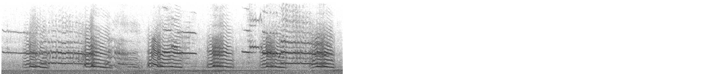 キアシセグロカモメ（michahellis） - ML639988398