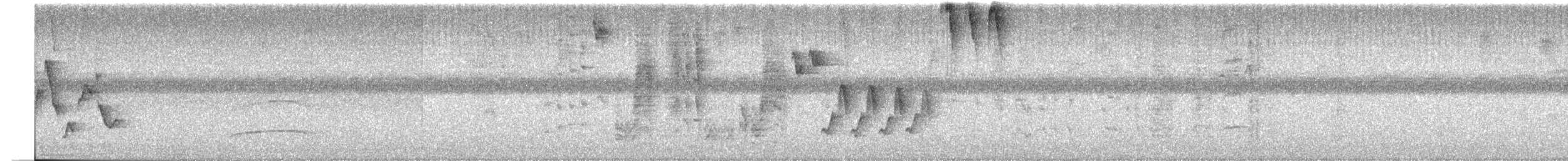 Southern House Wren - ML639990383