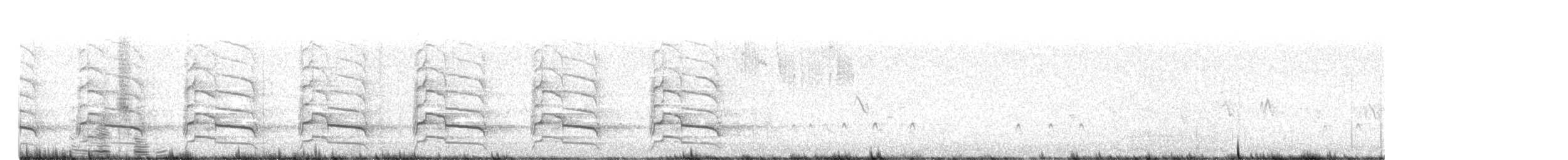 カタアカノスリ（elegans） - ML639991322