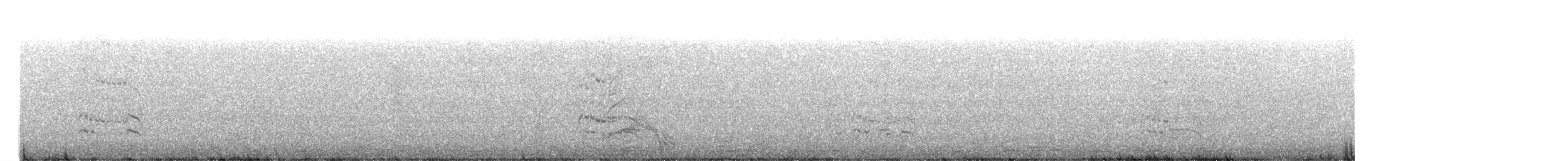 Elegant/Royal Tern - ML639991365