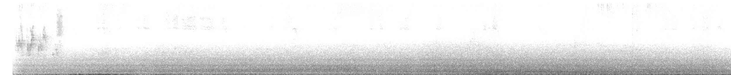 Macgillavray Ötleğeni - ML639992336