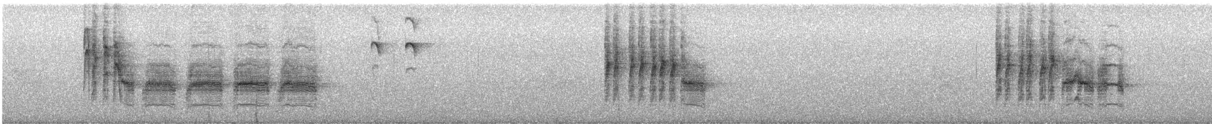 Mountain Chickadee - ML639992517