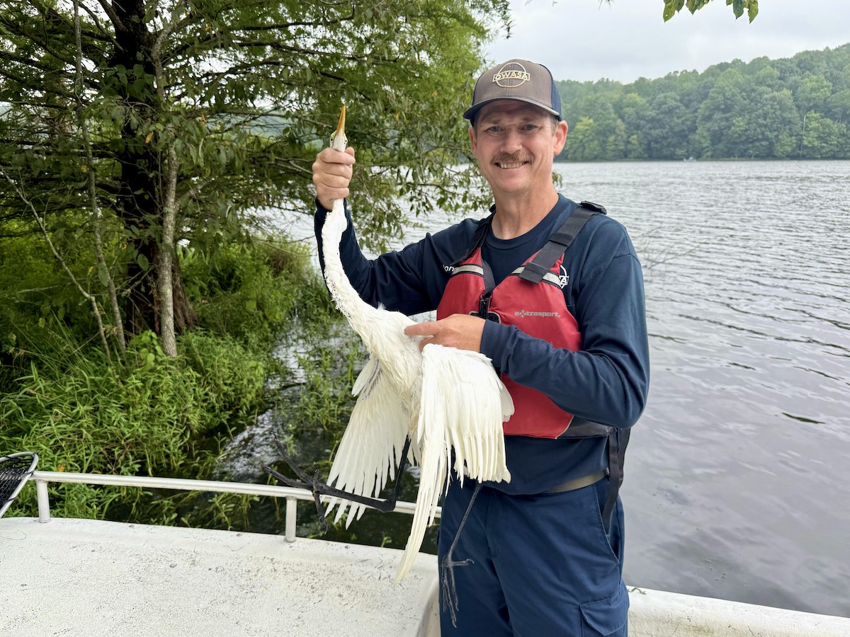 Цасч дэглий - ML639993269