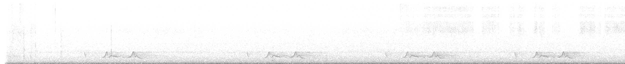 Chotacabras de Carolina - ML639993505