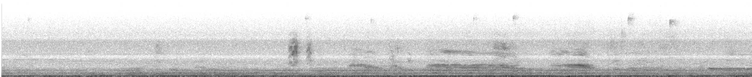 Gray-hooded Gull - ML639993672