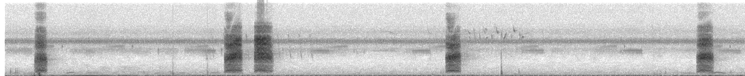 ライラックニシブッポウソウ - ML639994979