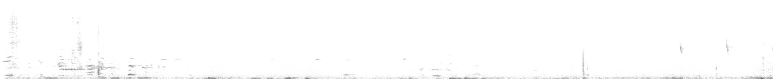 Red-tailed Comet - ML639995140