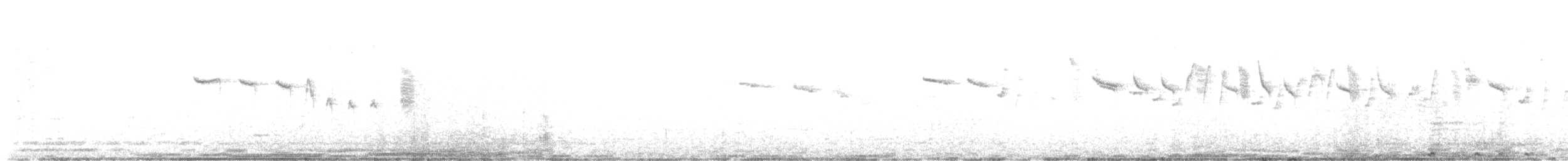 Red-tailed Comet - ML639997377