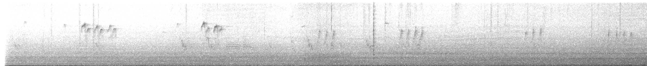 Black-capped Chickadee - ML639998692