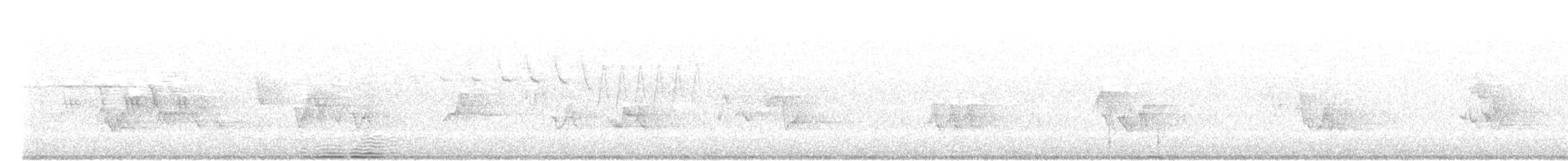 Reinita Plañidera - ML639999467