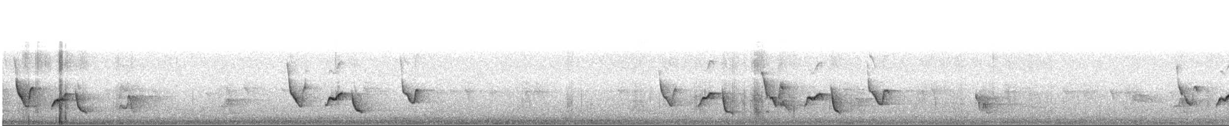 Troglodyte à long bec - ML640004108
