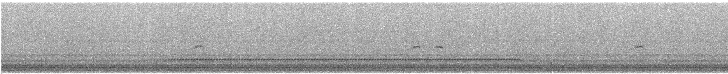 Least Sandpiper - ML640004148