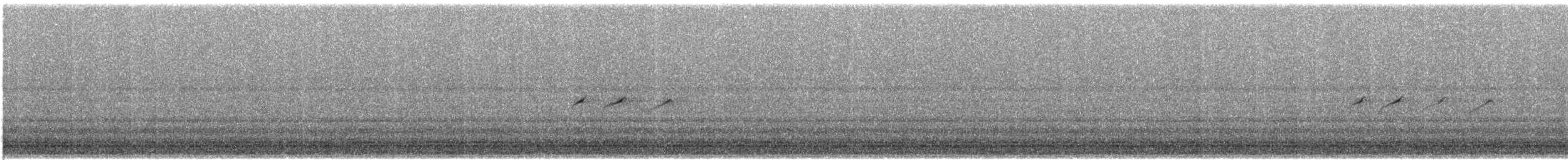 pisík americký - ML640004266