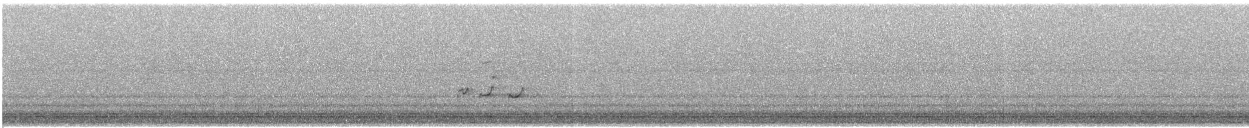 Greater Yellowlegs - ML640004356