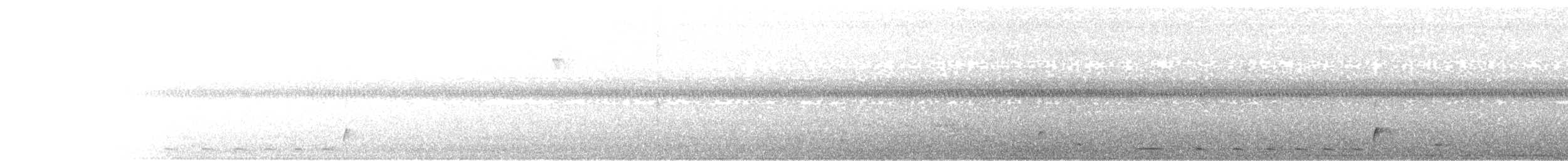 Rufous-and-white Wren - ML640005807