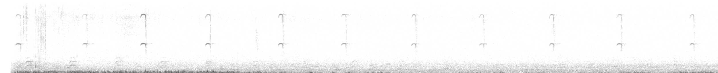 Colibri géant - ML640006009