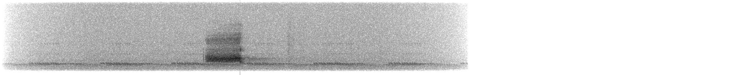 American Barn Owl - ML640006382