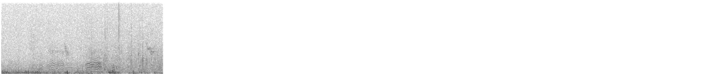 Pied Heron - ML640006787