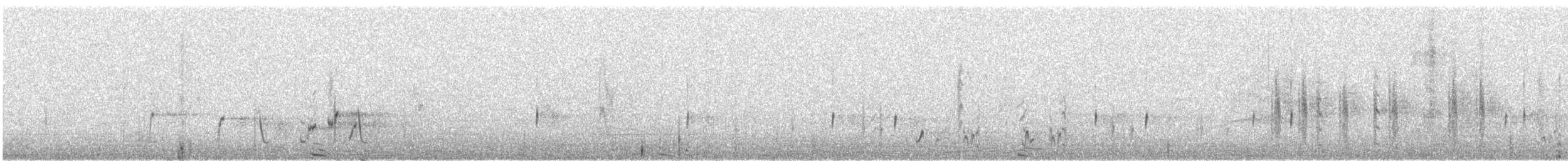 Willie-wagtail - ML640006811