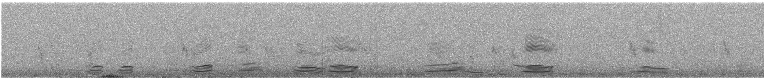 Torresian Crow - ML640006819
