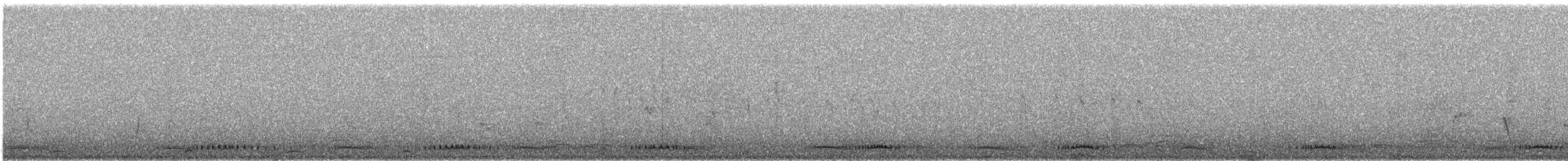 Bar-shouldered Dove - ML640007057