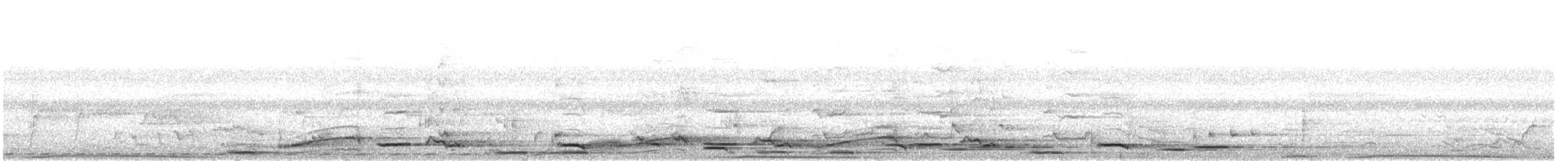 Медівник рогодзьобий - ML640007356