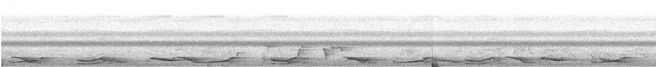 Медівник рогодзьобий - ML640007357