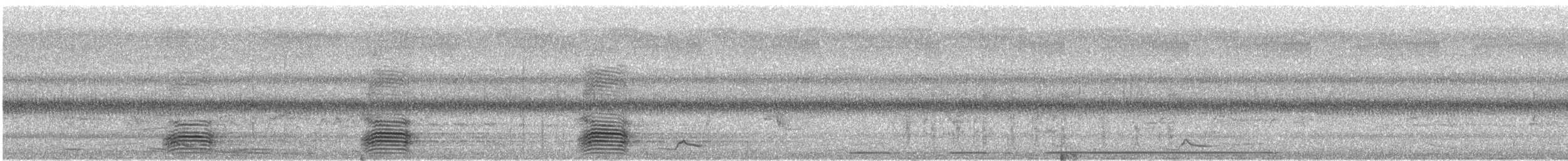 Torresian Crow - ML640007566