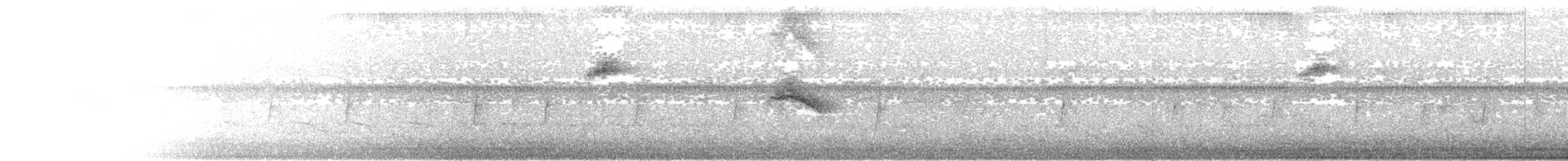 Mistletoe Tyrannulet - ML640009268