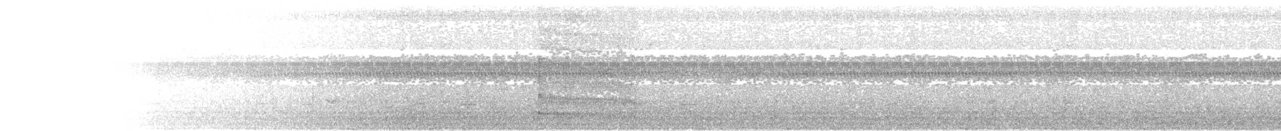 Northern Bentbill - ML640009508