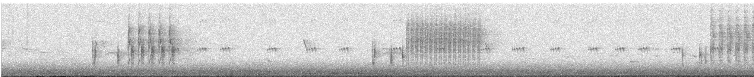 Marsh Wren - ML640009510