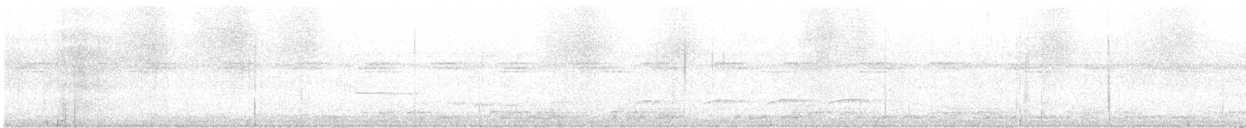 Bright-rumped Attila - ML640009602