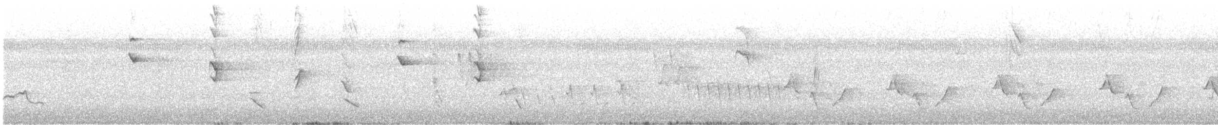 Southern House Wren - ML640009631