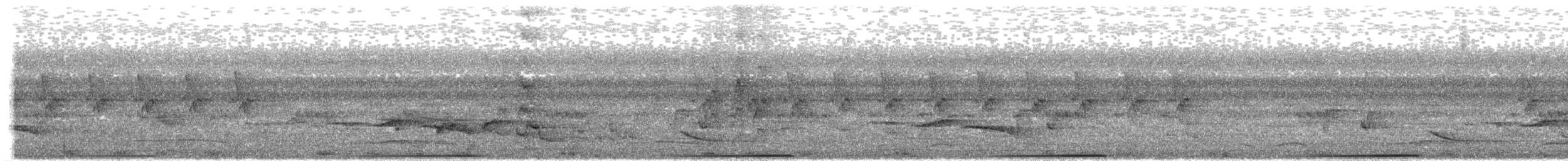 holub zelenokřídlý - ML640009896