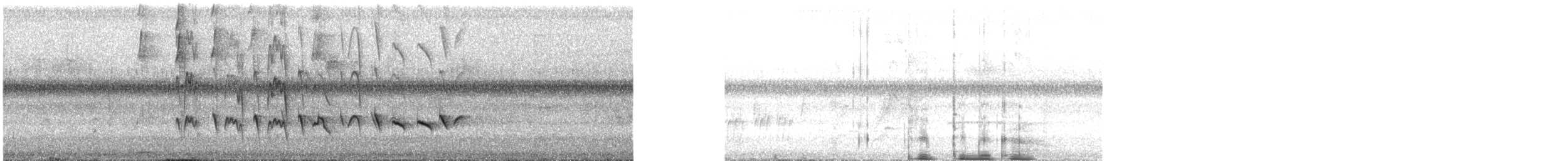 Cryptic Becard - ML640010252