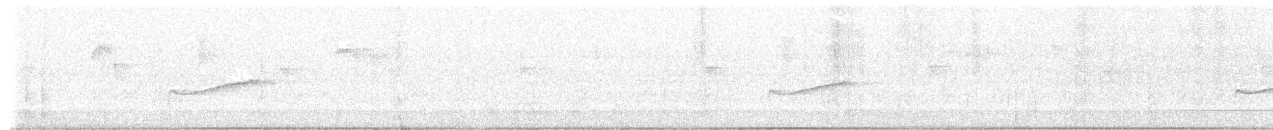 Eastern Wood-Pewee - ML640011314