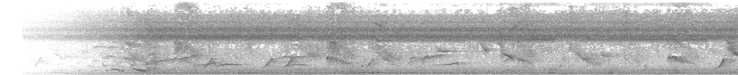 Streak-headed Woodcreeper - ML640011334