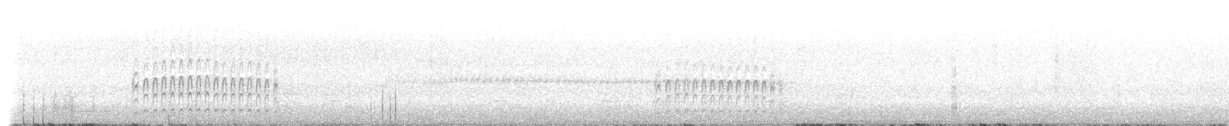 Tyranneau suiriri - ML640012404