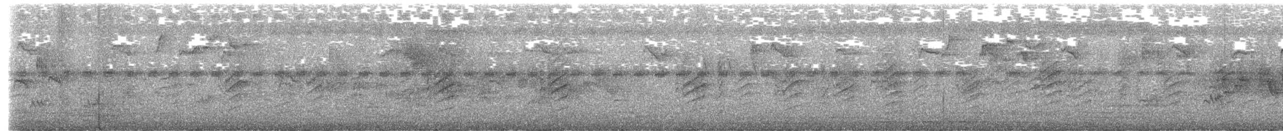 Wellenbauch-Bronzemännchen - ML640012783